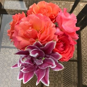 Meet your Posher, Janine